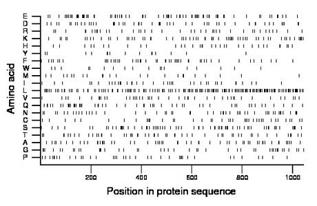 amino acid map