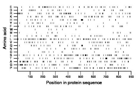 amino acid map