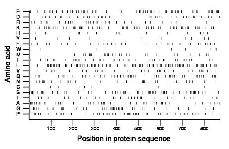 amino acid map