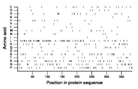 amino acid map