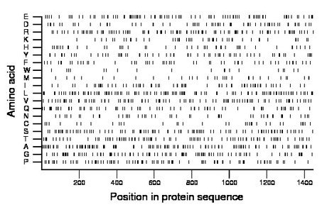 amino acid map