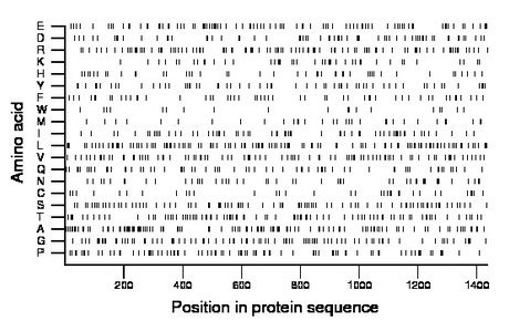 amino acid map