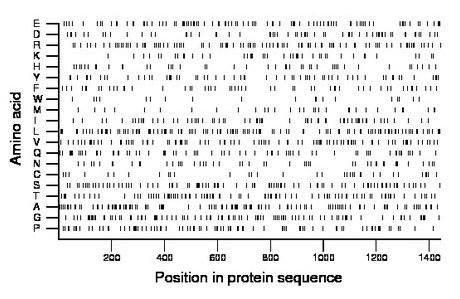 amino acid map