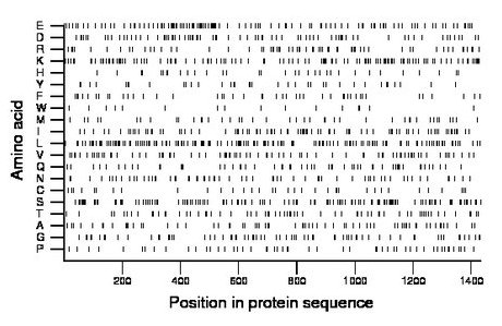 amino acid map