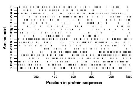 amino acid map