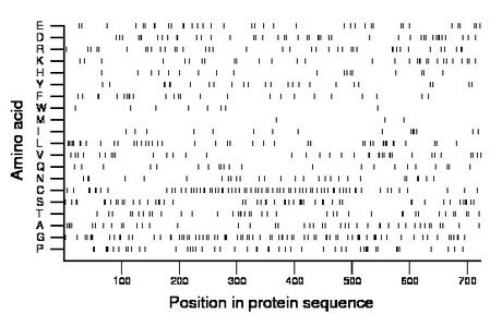 amino acid map