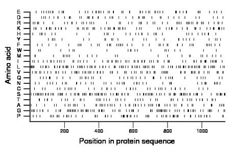 amino acid map