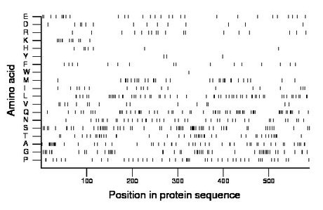 amino acid map