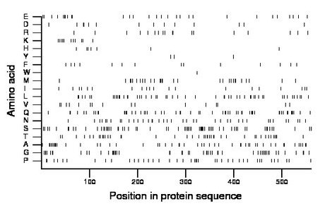 amino acid map