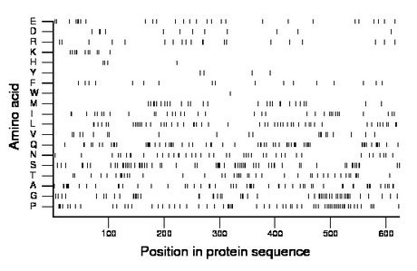 amino acid map