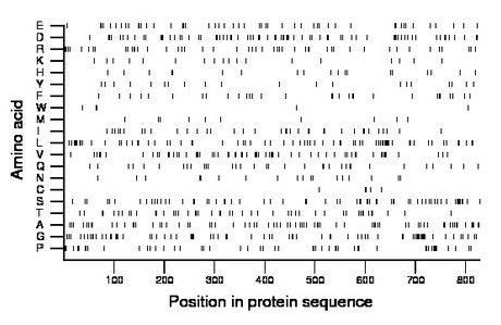 amino acid map