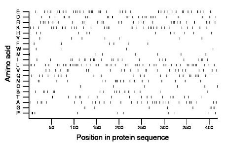 amino acid map