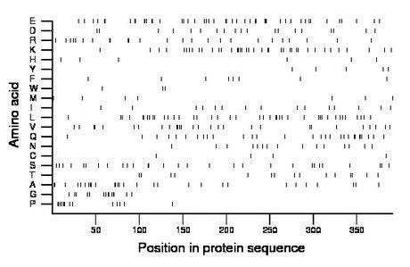 amino acid map