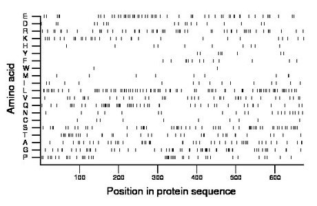 amino acid map