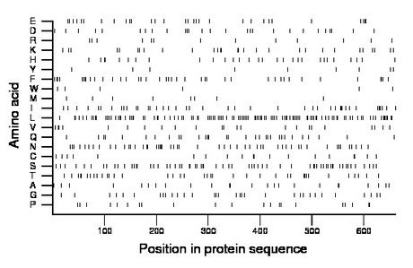 amino acid map