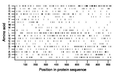 amino acid map