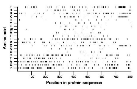 amino acid map