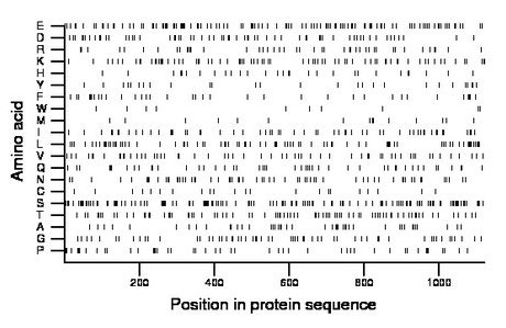 amino acid map