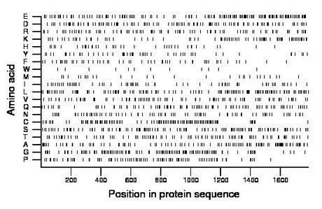 amino acid map