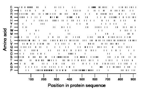 amino acid map