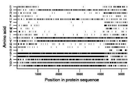 amino acid map