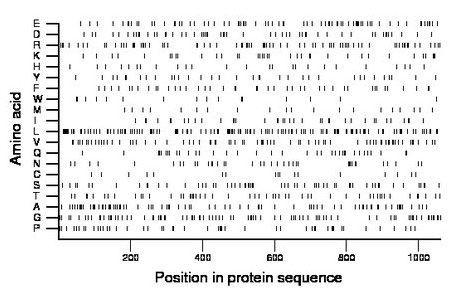 amino acid map