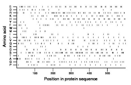 amino acid map