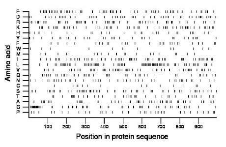 amino acid map