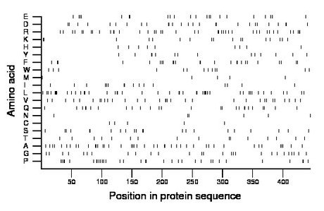 amino acid map