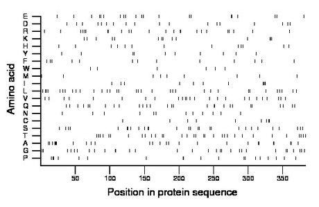 amino acid map