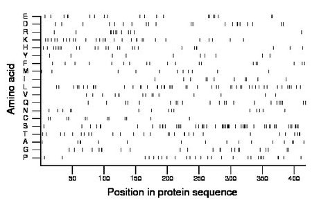 amino acid map