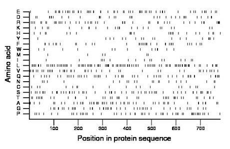 amino acid map