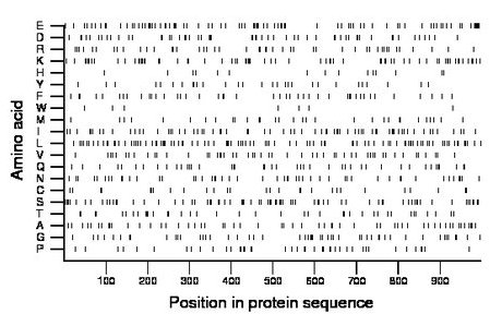 amino acid map