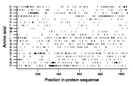 amino acid map