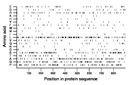 amino acid map