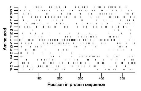 amino acid map