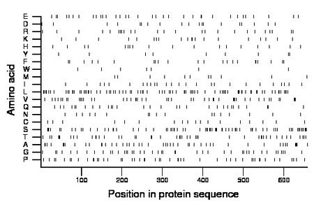 amino acid map