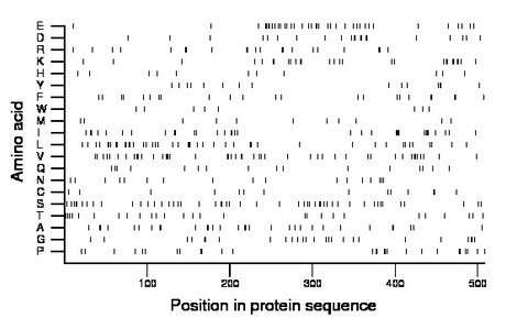 amino acid map