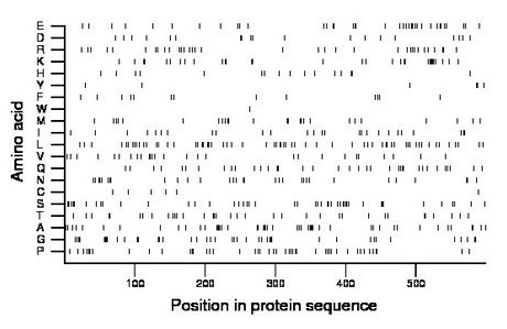 amino acid map