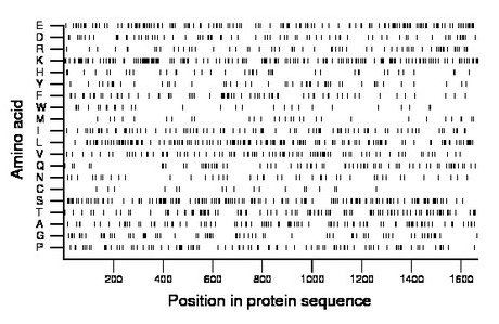 amino acid map