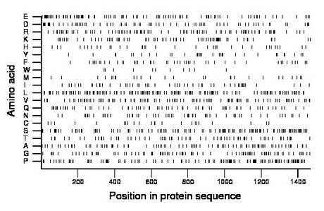 amino acid map