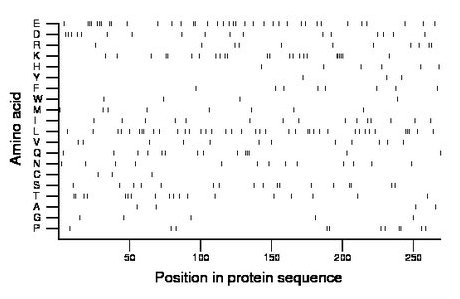 amino acid map