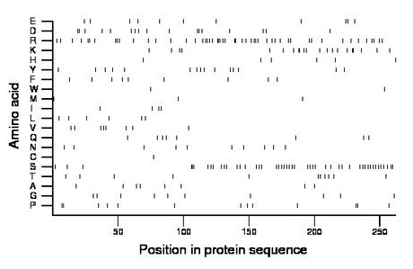 amino acid map