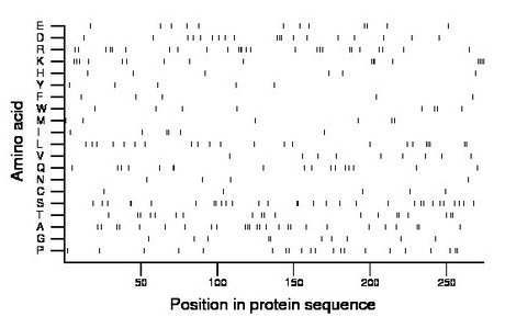 amino acid map