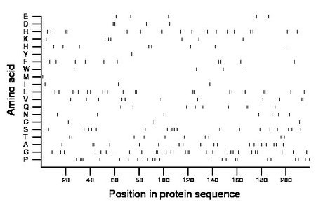 amino acid map