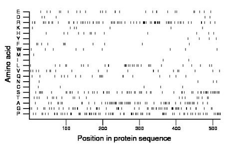 amino acid map