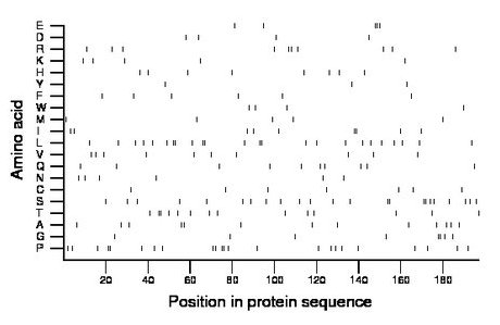 amino acid map