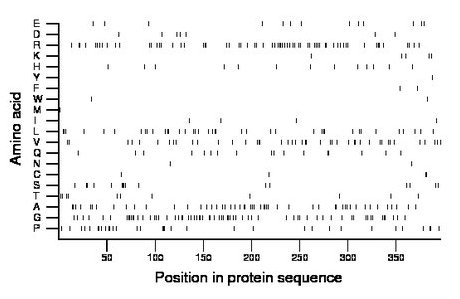 amino acid map