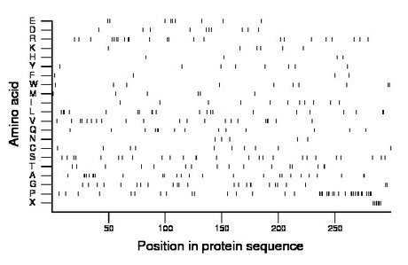 amino acid map