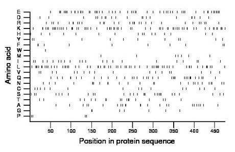 amino acid map